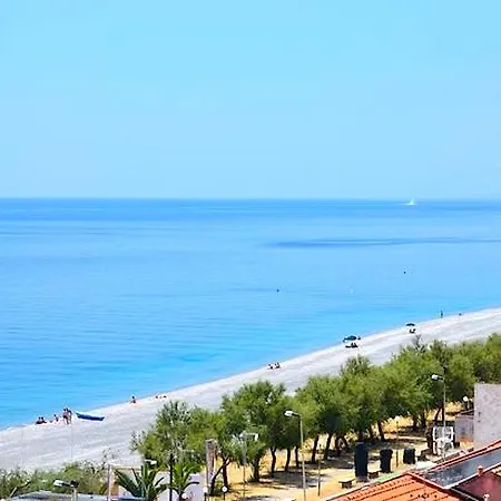 Alega Mare